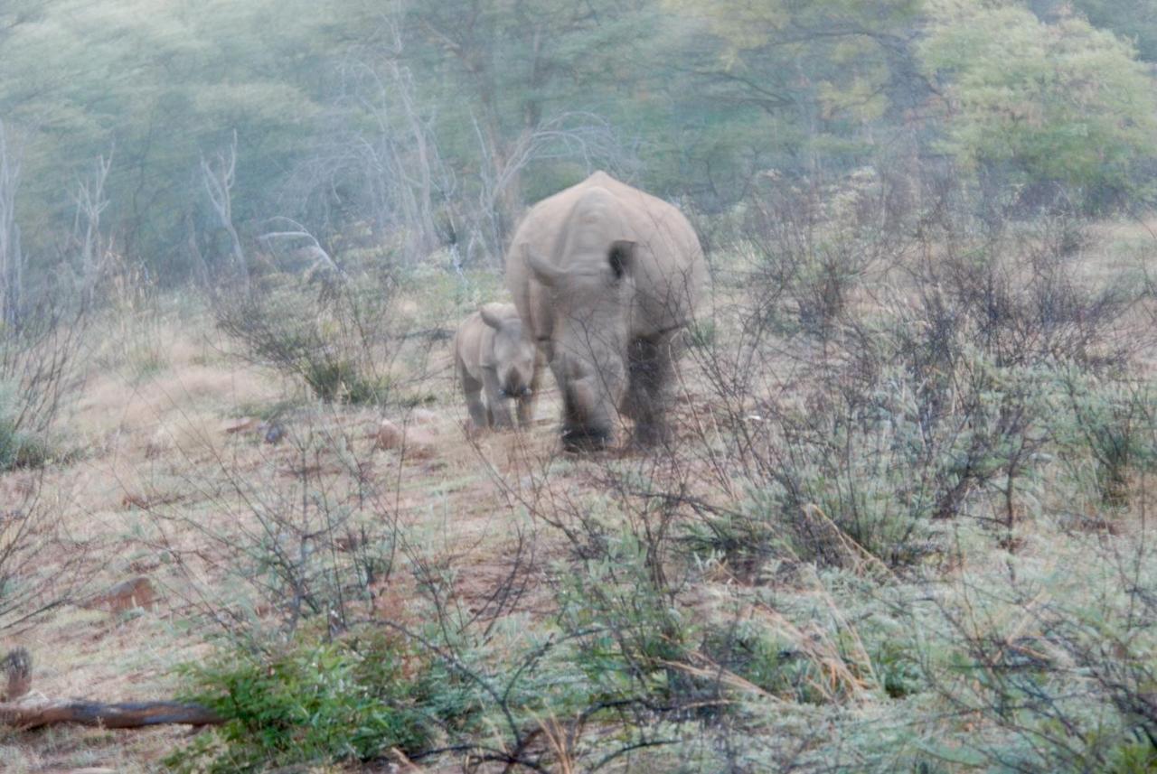 Kgorogoro Lodge Pilanesberg Esterno foto