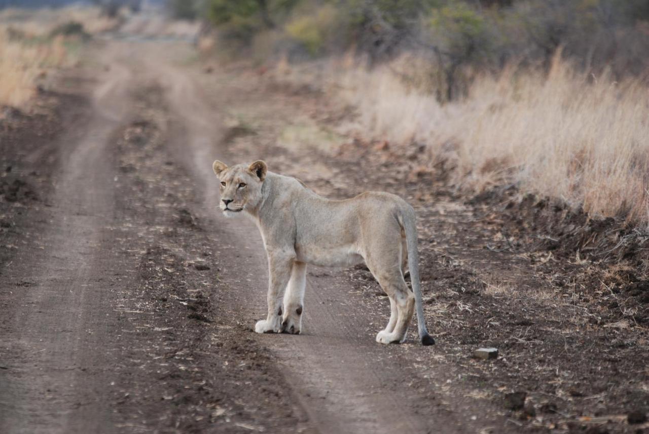 Kgorogoro Lodge Pilanesberg Esterno foto